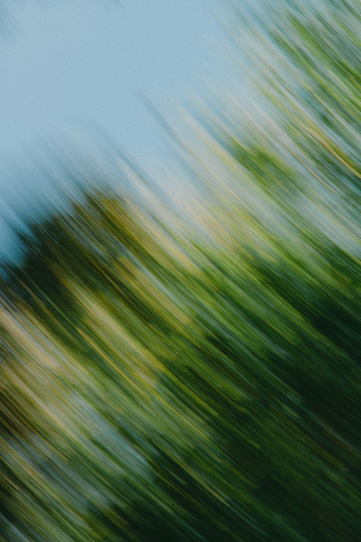 Filé de couleurs, entre ciel et végétation