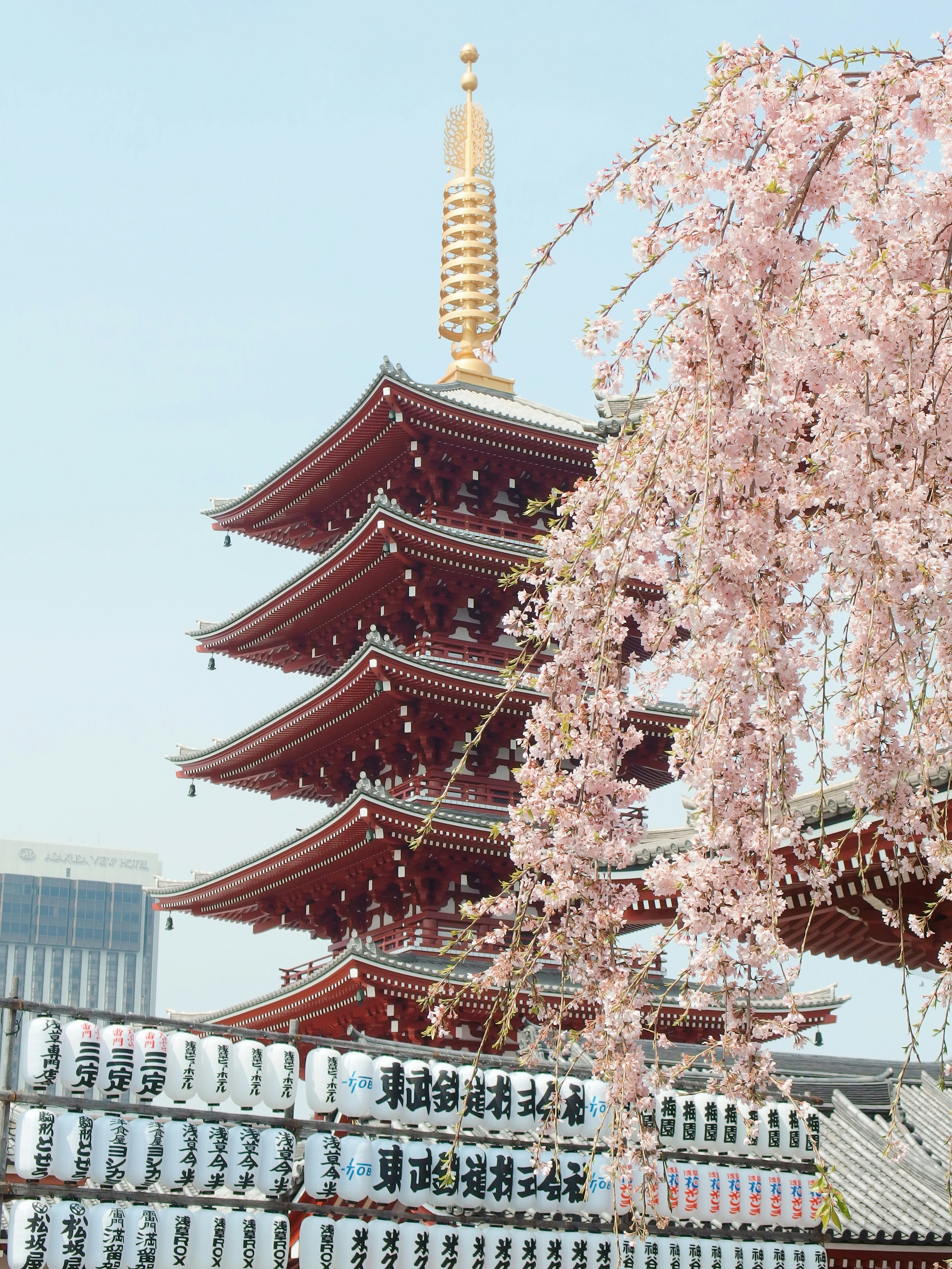 Japon — 6
